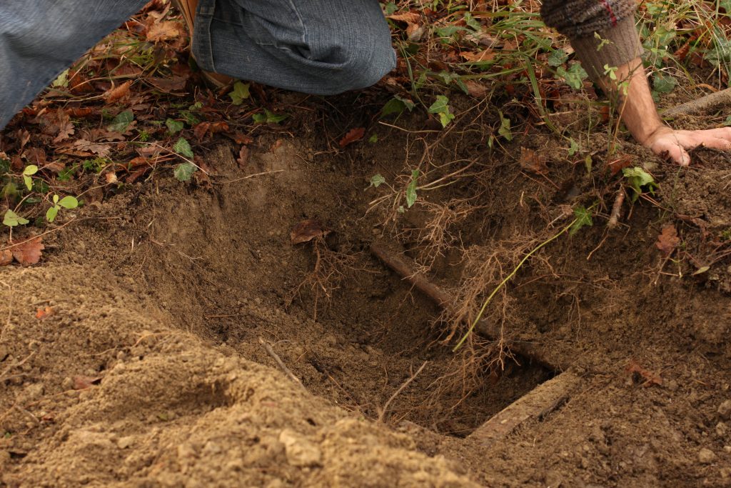 6.11.2009 – 20.12.2012