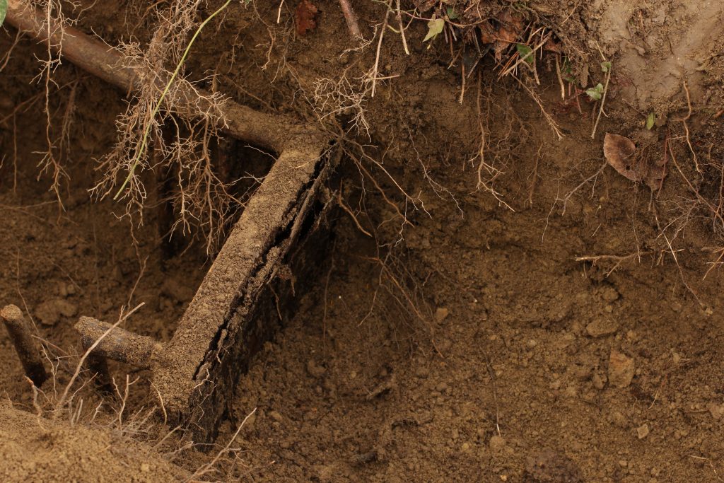 6.11.2009 – 20.12.2012