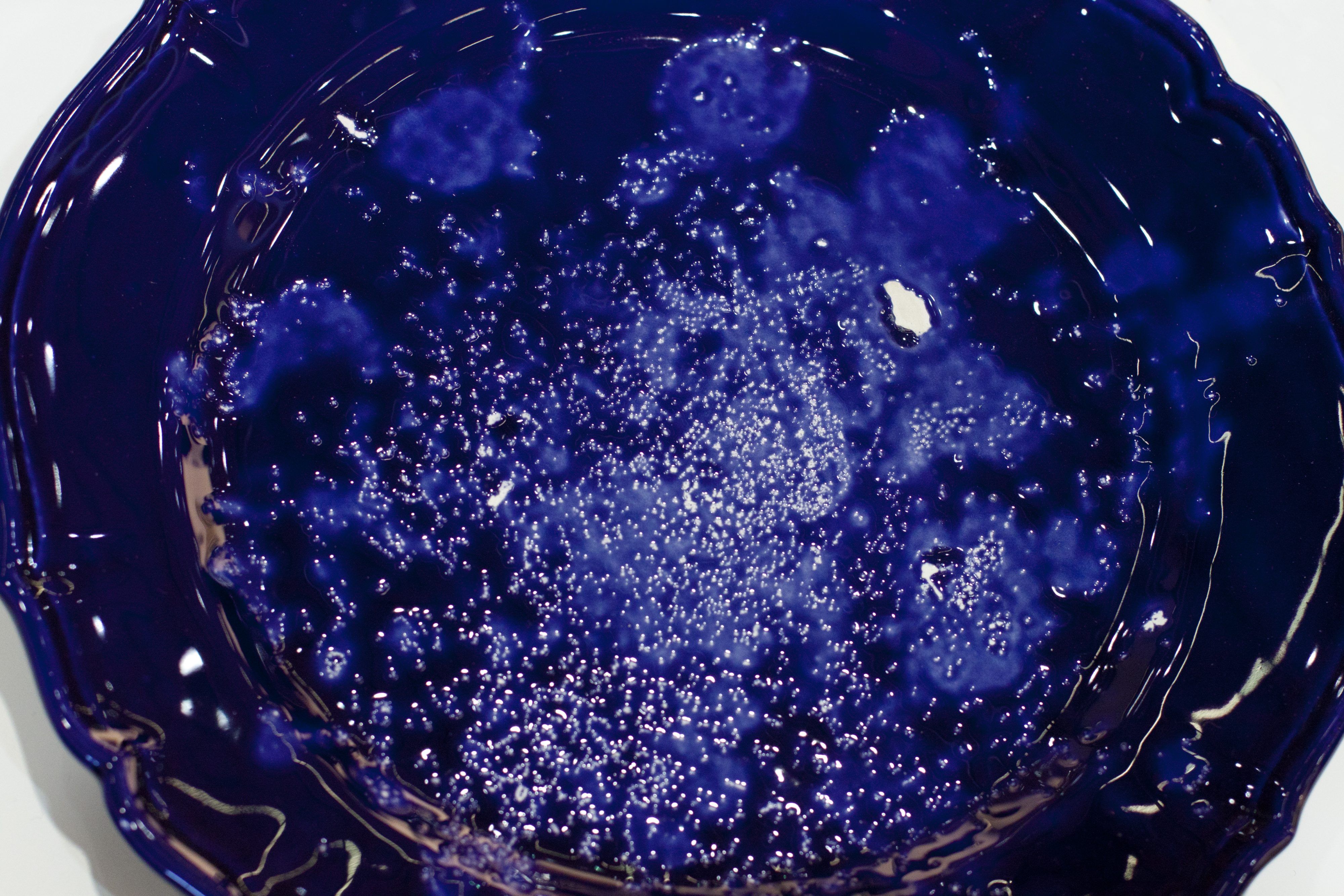 First Supper Project